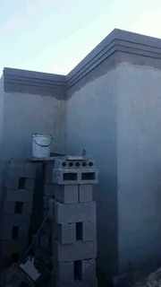 Skilled brick layers and plasters