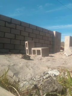 Skilled brick layers and plasters