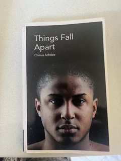 Grade 11 textbooks for sale