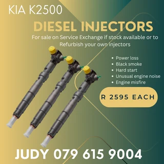 Kia K2500 Diesel Injectors for sale on service exchange or to recon