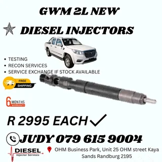 GWM 2L New Diesel Injector