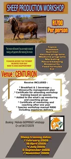 Sheep Production Workshop