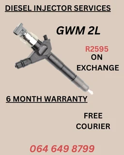 Gwm 2l Diesel Injectors For Sale