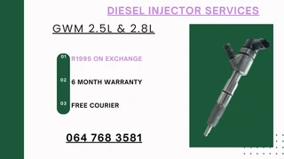 Gwm 2.5l & 2.8l Diesel Injectors Services