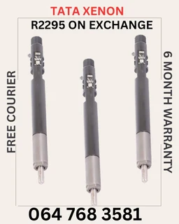 Tata Xenon Diesel Injector Services