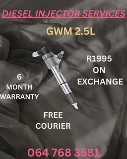 Gwm 2.5l Diesel Injectors For Recon