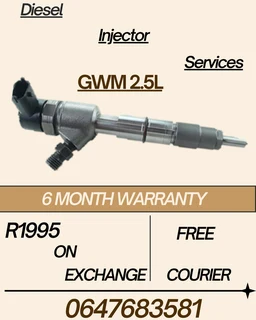 Gwm 2.5l Diesel Injector Services