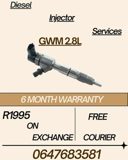 Gwm 2.8l Diesel Injector Services