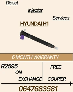 Hyundai H1 Delphi Diesel Injector Services