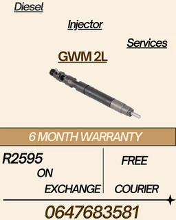 Gwm 2l Diesel Injectors Services