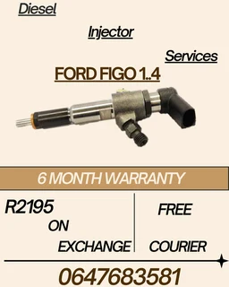 Ford Figo 1.4 Diesel Injectors Services