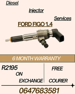 Ford Figo 1.4 Diesel Injector Services