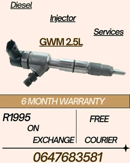 Gwm 2.5l Diesel Injector Services