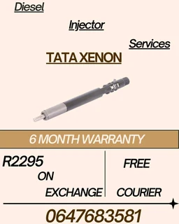 Tata Xenon Diesel Injector Services