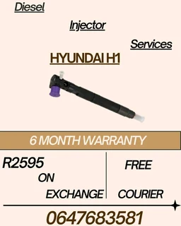 Hyundai H1 Deplhi Diesel Injector Services