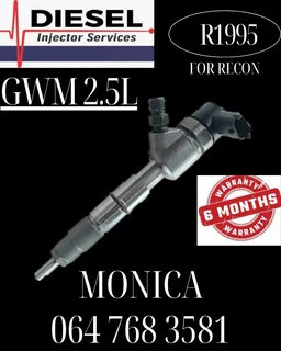 Gwm 2.5 Diesel Injector Services