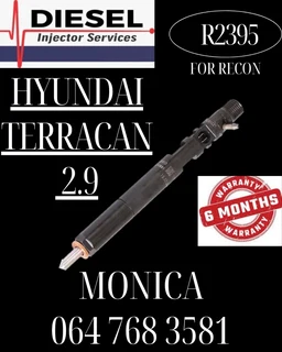 Hyundai Terracan 2.9 Diesel Injector Recon Services