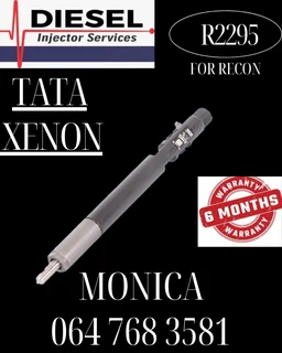 Tata Xenon Diesel Injector Services