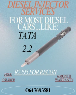 Tata 2.2 Diesel Injectors Recon Services