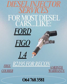 Ford Figo 1.4 Diesel Injectors Services