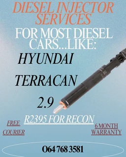 Hyundai Terracan 2.9 Diesel Injectors Services