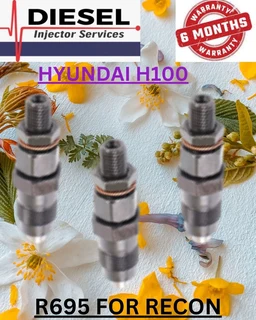 Hyundai H100 Diesel Injectors Recon Services