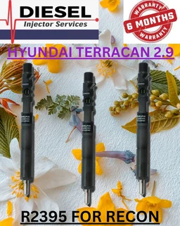 Hyundai Terracen 2.9 Diesel Injectors Recon Services