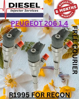 Peugeot 206 1.4 Diesel Injectors Recon Services