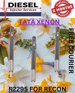 Tata Xenon Diesel Injectors Recon Services