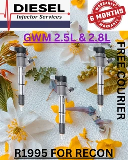 Gwm 2.5l Diesel Injectors Recon Services