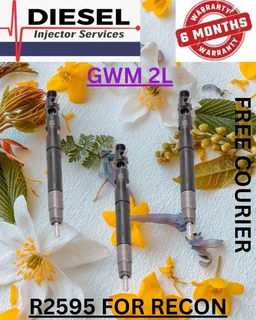Gwm 2l Diesel Injectors Recon Services