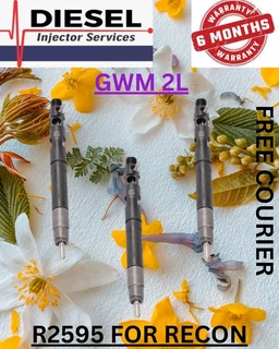 Gwm 2l Diesel Injectors Recon Services