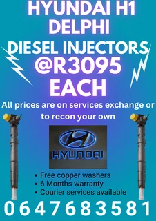 Hyundai H1 Delphi Diesel Injectors/ 6 Months Warranty