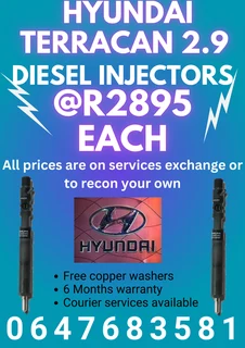 Hyundai Terracan 2.9 Diesel Injectors/ Copper Washers Included