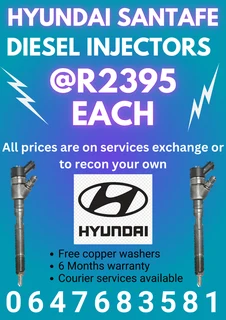 Hyundai Santafe Diesel Injectors/ We Recon And Sell On Exchange