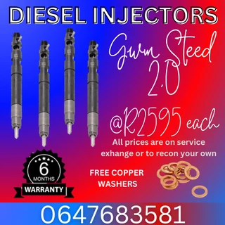 Gwm Steed 2.0 Diesel Injectors For Sale We Recon And Sell On Exchange