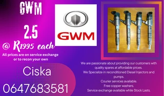 Gwm 2.5 Diesel Injectors For Sale 6 Months Warranty