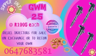 Gwm 2.5 Diesel Injectors For Sale Free Copper Washers