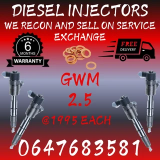 Gwm 2.5 Diesel Injectors For Sale Warranty Included