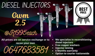 Gwm 2.5 Diesel Injectors For Sale Copper Washers Included
