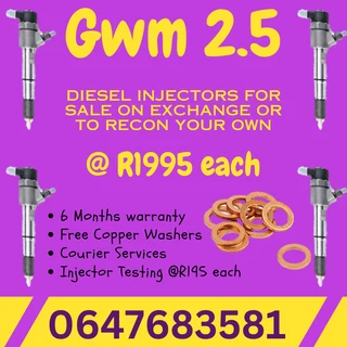 Gwm 2.5 Diesel Injectors For Sale With Warranty