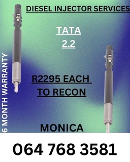 Tata 2.2 Diesel Injector Recon