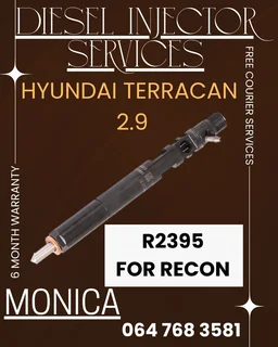 Hyundai Terracan 2.9 Diesel Injectors Recon Services