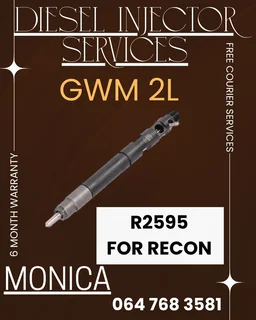 Gwm 2l Diesel Injectors Recon Services