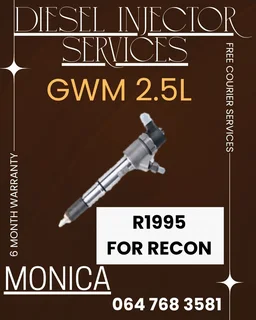 Gwm 2.5l Diesel Injectors Recon Services