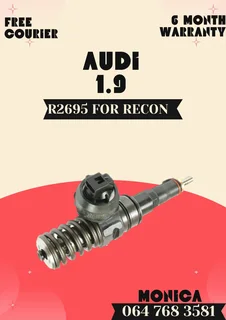 Audi 1.9 Diesel Injectors Recon Services