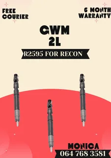Gwm 2l Diesel Injectors Recon Services