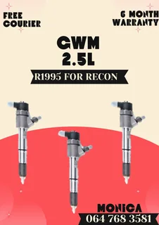 Gwm 2.5l Diesel Injectors Recon Services