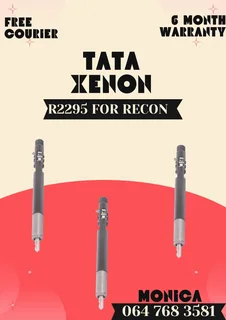 Tata Xenon Diesel Injectors Recon Services