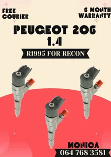 Peugeot 206 1.4l Diesel Injectors Recon Services